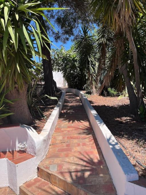 Beautiful Private Villa With Pool, Boliqueime, Loule Екстериор снимка