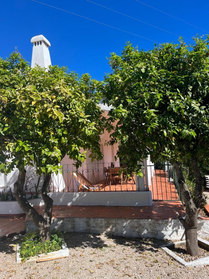 Beautiful Private Villa With Pool, Boliqueime, Loule Екстериор снимка